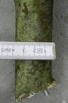 knapp 4cm dünn