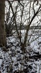Habitat vor der Ernte