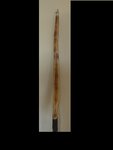 Bauchseite uWa.jpg (59.47 KiB) 18446 mal betrachtet Die Bauchseite des uWa.Durch das Tempern hat der Wa die bräunliche Farbe.
