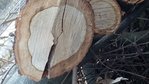 20160218_1457303.jpg