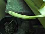 DSCF4621.jpg
