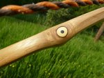 Pfaffenhut mit Horn