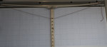 2016-05-30_16.19.55_Mjuller_Elsbeere_Tillern.jpg