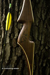 IMG_4066finforum.jpg