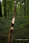 IMG_4073finforum.jpg