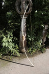2016-06-05_16.49.02_Mjuller_Elsbeere_Tillern.jpg