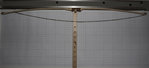 2016-06-05_16.35.43_Mjuller_Elsbeere_Tillern.jpg