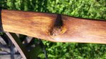 20160701_180226.jpg