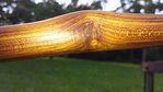 20160701_180306.jpg