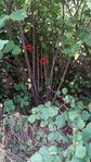 20160729_135029.jpg