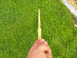 DSCF5313.jpg