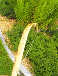 DSCF5314.jpg