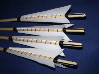 IMGP2968.JPG