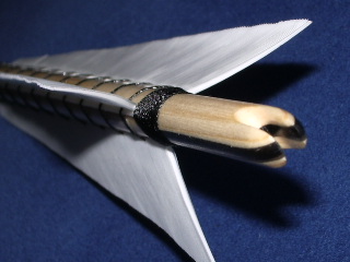 IMGP2971.JPG