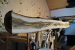 DSC09487.JPG