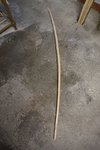 DSC05418.jpg