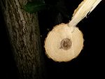 20161022_031915.jpg