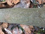 IMG_1961.JPG