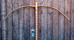 24&quot; Auszug