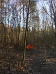 Im Habitat