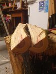 ca. 40° auf 67 cm im unteren Stammteil