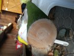 2017012815565200.jpg