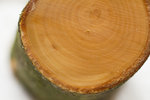 IMG_8979 - Kopie.jpg