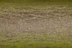 IMG_8984 - Kopie.jpg
