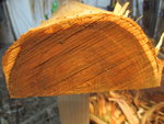 Der hier hatte nur ganz dünnes Splintholz.Innen hat das Holz allerdings ziemlich gestunken.Angebohrt war der Baum aber auch nicht...