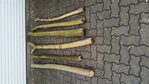 rps20170217_143757.jpg