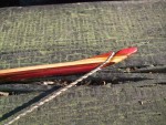 Eva's Bow_5.JPG