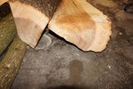 DSC07581.jpg
