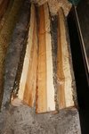 DSC07587.jpg
