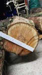 IMG_20170322_192206.jpg