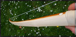 sapwood.jpg