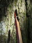 Ralph's bow_11.JPG
