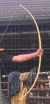 t.jpg