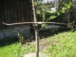 IMG_1872scharf.jpg