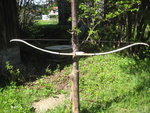 IMG_1877.JPG