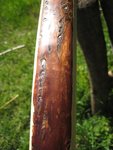 IMG_1888scharf.jpg