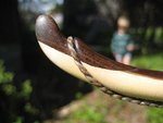 IMG_1891scharf.jpg