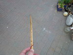 Rücken