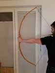 4EibenflachbogenFredi.jpg