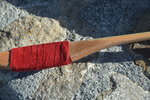 Hainbuche7.JPG