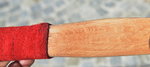 Hainbuche4.JPG