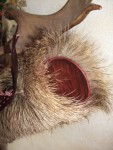 wildboar_backquiver_7.JPG