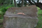 IMG_0511.JPG